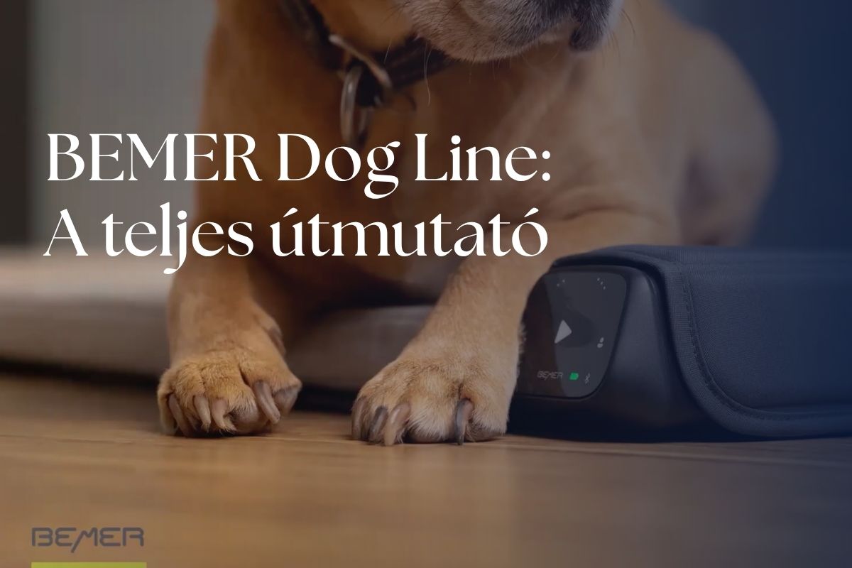 You are currently viewing Amikor az emberi technológia a kutyák szolgálatába áll: BEMER Dog Line